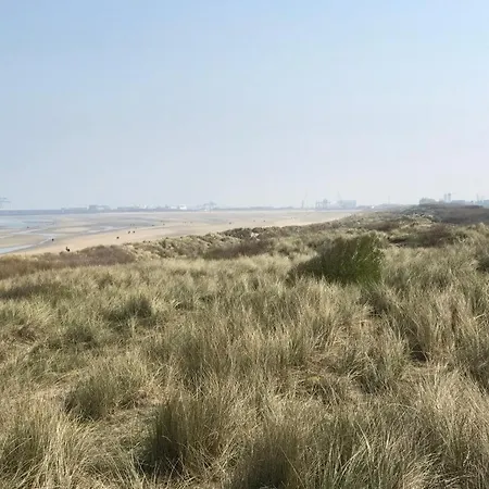 The One - New Luxury Beachfront Apartamento *