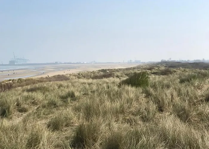 The One - New Luxury Beachfront Apartmán *