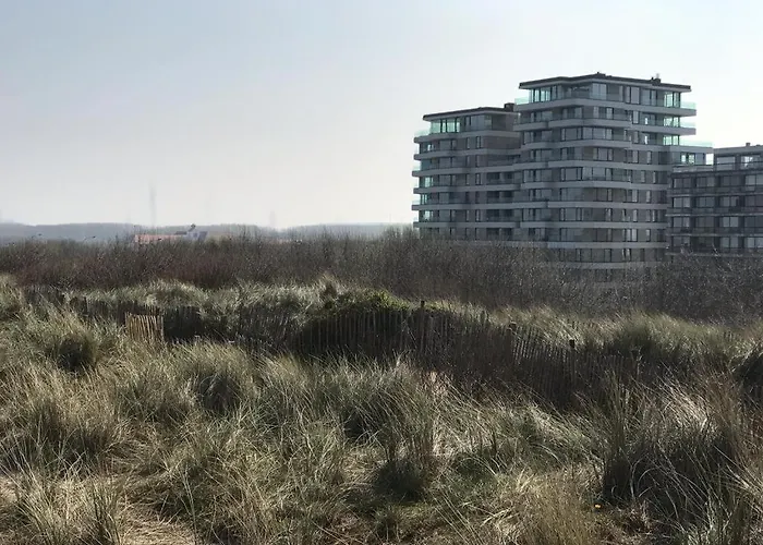 The One - New Luxury Beachfront